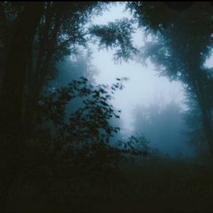 Meet your Posher, Ruben